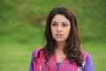 Actress Richa Gangopadhyay New Pictures in Sarocharu Movie