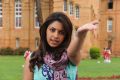 Telugu Actress Richa Gangopadhyay Pictures in Sarocharu Movie