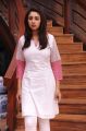 Actress Richa Gangopadhyay Hot Stills in Sir Vacharu Movie
