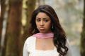 Actress Richa Gangopadhyay Stills in Sarocharu Movie