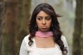 Actress Richa Gangopadhyay Stills in Sir Vacharu Movie