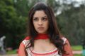 Sarocharu Actress Richa Gangopadhyay Latest Stills
