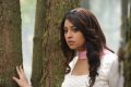 Sarocharu Heroine Richa Gangopadhyay Stills