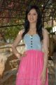 Actress Richa Panai Hot Stills in Pink Skirt