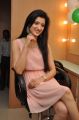 Richa Panai in Pink Gown at CV International Academy Of Beauty Launch