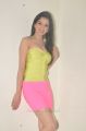 Richa Panai Hot Photo Shoot Stills in Yellow Top & Pink Skirt