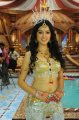 Telugu Heroine Richa Panai Hot Stills
