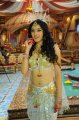 Telugu Heroine Richa Panai Hot Stills