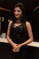 Actress Richa Panai Images @ Kavvintha Audio Release