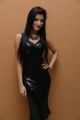 Actress Richa Panai in Black Dress Images