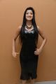 Actress Richa Panai in Black Dress Images