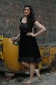 Actress Richa Panai in Black Dress Photos in Rakshaka Bhatudu