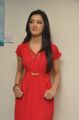 Richa Panai Hot in Red Dress Photoshoot Stills