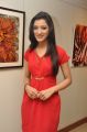 Richa Panai in Red Dress Photoshoot Stills