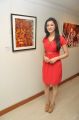 Telugu Actress Richa Panai Hot in Red Dress Photos