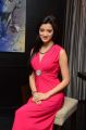 Actress Richa Panai Photos @ Player Teaser Launch