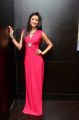 Actress Richa Panai Photos @ Player Teaser Launch