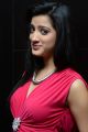 Actress Richa Panai Photos @ Player Poster Launch