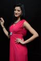 Actress Richa Panai Photos @ Player Poster Launch