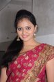 Richa Sinha Saree Stills