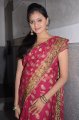 Richa Sinha Saree Stills