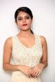 Actress Riddhi Kumar Images HD @ Lover Trailer Launch