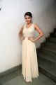 Actress Riddhi Kumar Images @ Lover Movie Trailer Launch