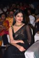 Actress Riddhi Kumar Saree Photos @ Sobhan Babu Awards 2018