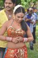 Tamil Item Girl Risha Hot Photos at Sadhikkalam Thozha Movie
