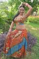 Sadhikkalam Thozha Movie Item Girl Risha Hot Photos
