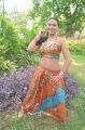 Tamil Actress Item Girl Risha Hot Photos