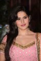 Zarine Khan @ Genelia & Ritesh Sangeet Ceremony Stills