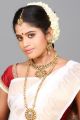 Tamil Actress Rithika Photoshoot Stills