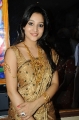 Ritu Barmecha in Silk Saree Pics