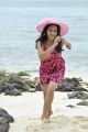 New Telugu Actress Reetu Hot Photos in Beach
