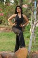 Actress Riyamikka Photos @ X Videos Movie Press Show
