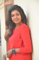 Actress Riythvika Photos @ Torchlight Movie Interview