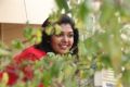 Actress Riythvika Photos @ Torchlight Movie Interview