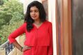 Actress Riythvika New Photos