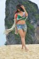 Telugu Heroine Angela Hot Pics in Rogue Movie