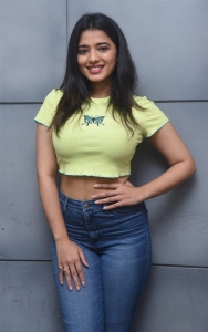 Heroine Ketika Sharma @ Romantic Movie Interview Photos