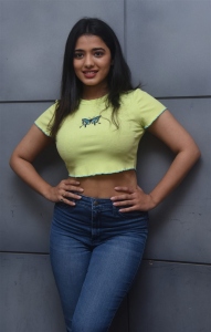 Romantic Movie Actress Ketika Sharma Interview Photos