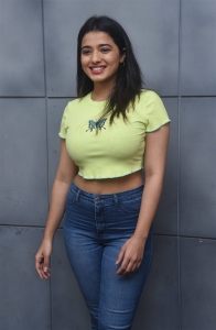 Romantic Movie Actress Ketika Sharma Interview Photos