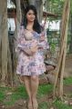 Actress Poonam Bajwa @ Romeo Juliet Movie Press Meet Stills