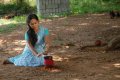 Rosa Tamil Movie Stills