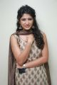 Actress Roshini Prakash New Photoshoot Stills