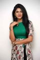Actress Roshini Prakash New Photoshoot Stills
