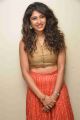 Actress Roshini Prakash New Photoshoot Stills