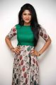 Actress Roshini Prakash Photoshoot Stills