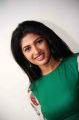 Actress Roshini Prakash Photoshoot Stills